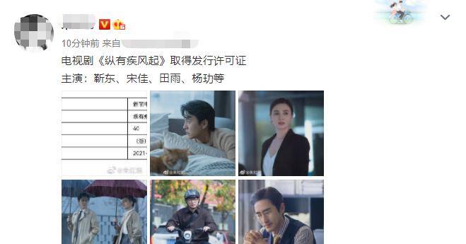 职场|靳东新剧将袭,倪大红和田雨演男配,41岁女主人选成“重头戏”