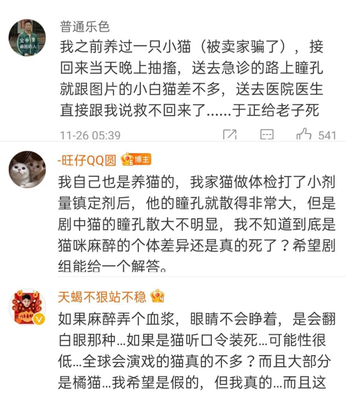 猫咪|《当家主母》疑毒死真猫，画面太真实引争议，剧组澄清毫无说服力