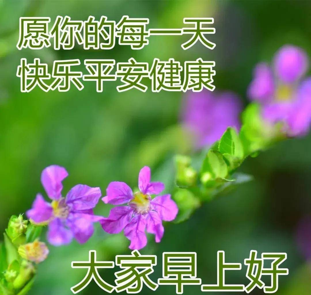 ea86daa926ee4910993ff7264f66f54e.jpeg