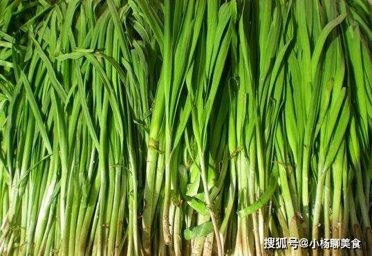 韭菜的营养价值极高，常吃韭菜能防御疾病，这三大功效你知道吗？