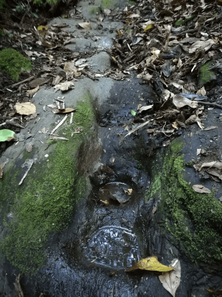 遗址|【国家AA级景区】腾冲芒棒高黎贡山古道公园景区