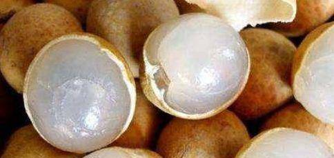 什么是龙眼肉的功效与作用 87b52635f1ad47b4b5730d5430cf8209.jpeg