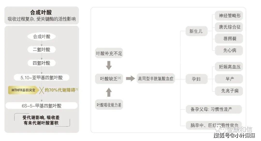 八卦爆料|生呗2021不正经盘点:一旦把补叶酸类比搞对象,迷茫的男女豁然开朗