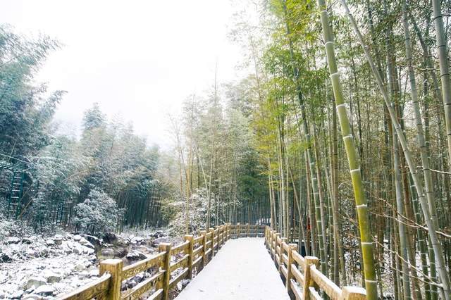 温泉之乡|元旦假期怎么过？一家人去明月山，滑雪泡汤还有雾凇美如仙境，离长沙仅3小时