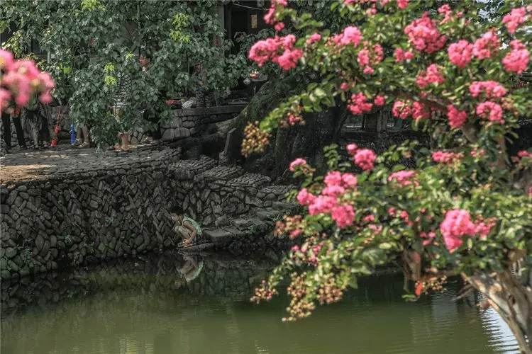 游记|跟随最新一期《青春环游记》去旅行，打卡丽水古街，静谧之美如画