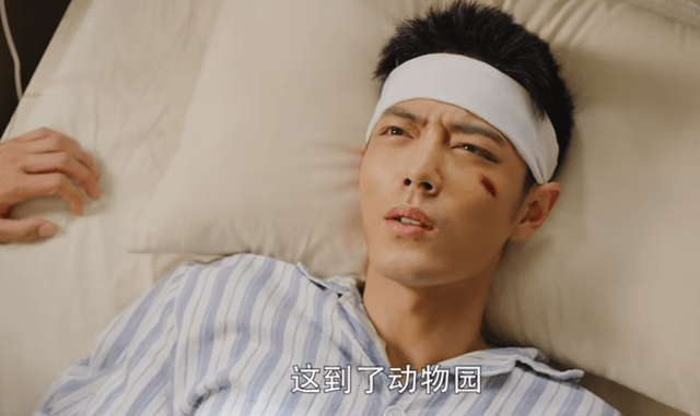 军旅|军旅题材成爱情剧?狂追十五集《王牌部队》,发现正片不及预告