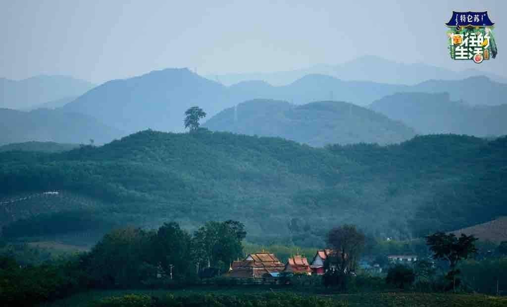治愈|为何说《向往的生活》的“慢美学”，是治愈“打工人”的心灵鸡汤