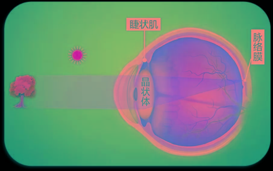 晶立方视力康养系统哺光仪使用注意事项如何高效科学安全的使用哺光仪
