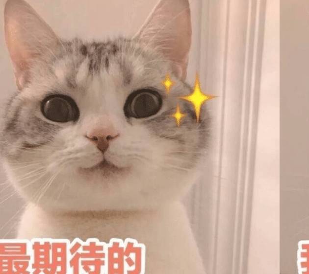 a779e53b238745b29ae3aae795ba0ca2.jpeg