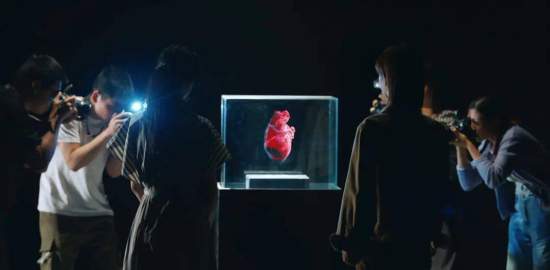 因为|不切实际？质量不行？《女心理师》究竟是被高估还是被低估？