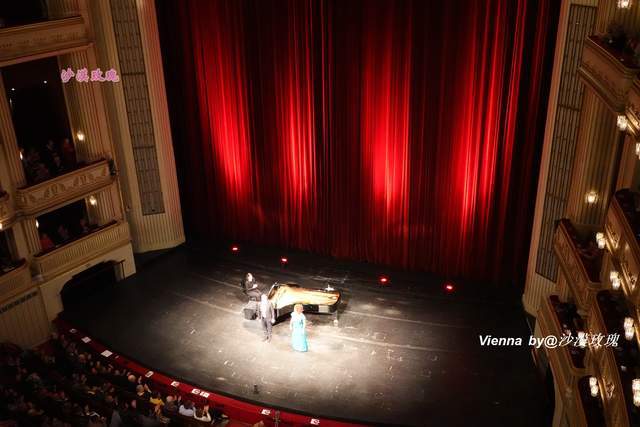 大厅|这场全球直播的音乐会是新年开始的标志，其实每年演出不止一场