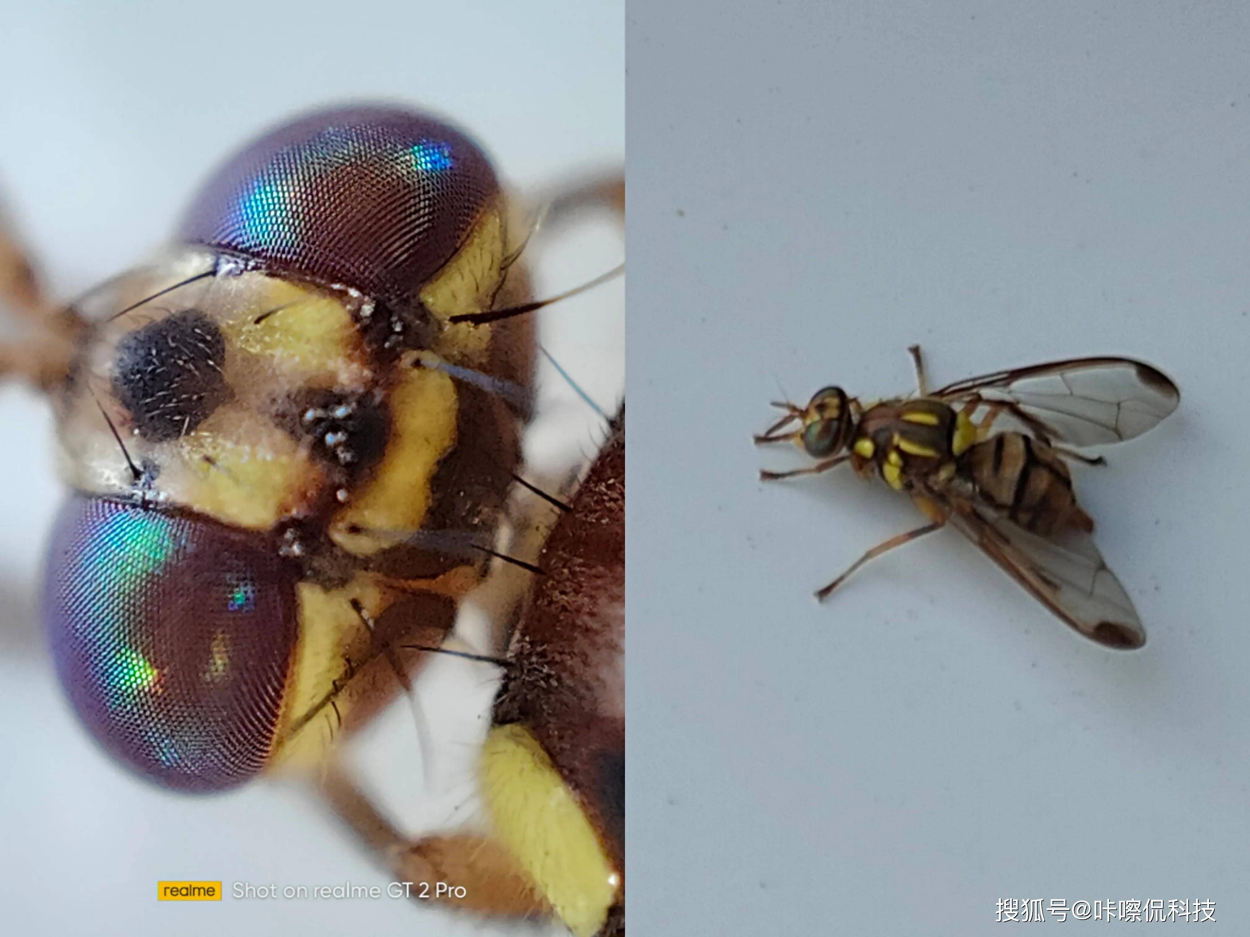 3699元起！真我GT2 Pro首发体验，背刺小米12 Pro？