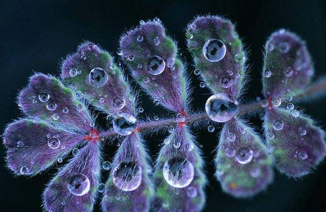 明天1月5日起到春节 得财星眷顾 生财有道 事业平步青云发大财的生肖 星座 中华资讯在线