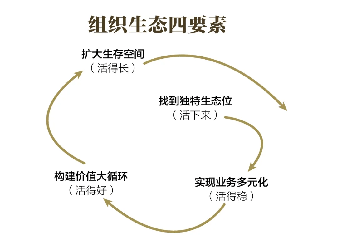 普利高|一流的组织，都掌握了这个生态密码
