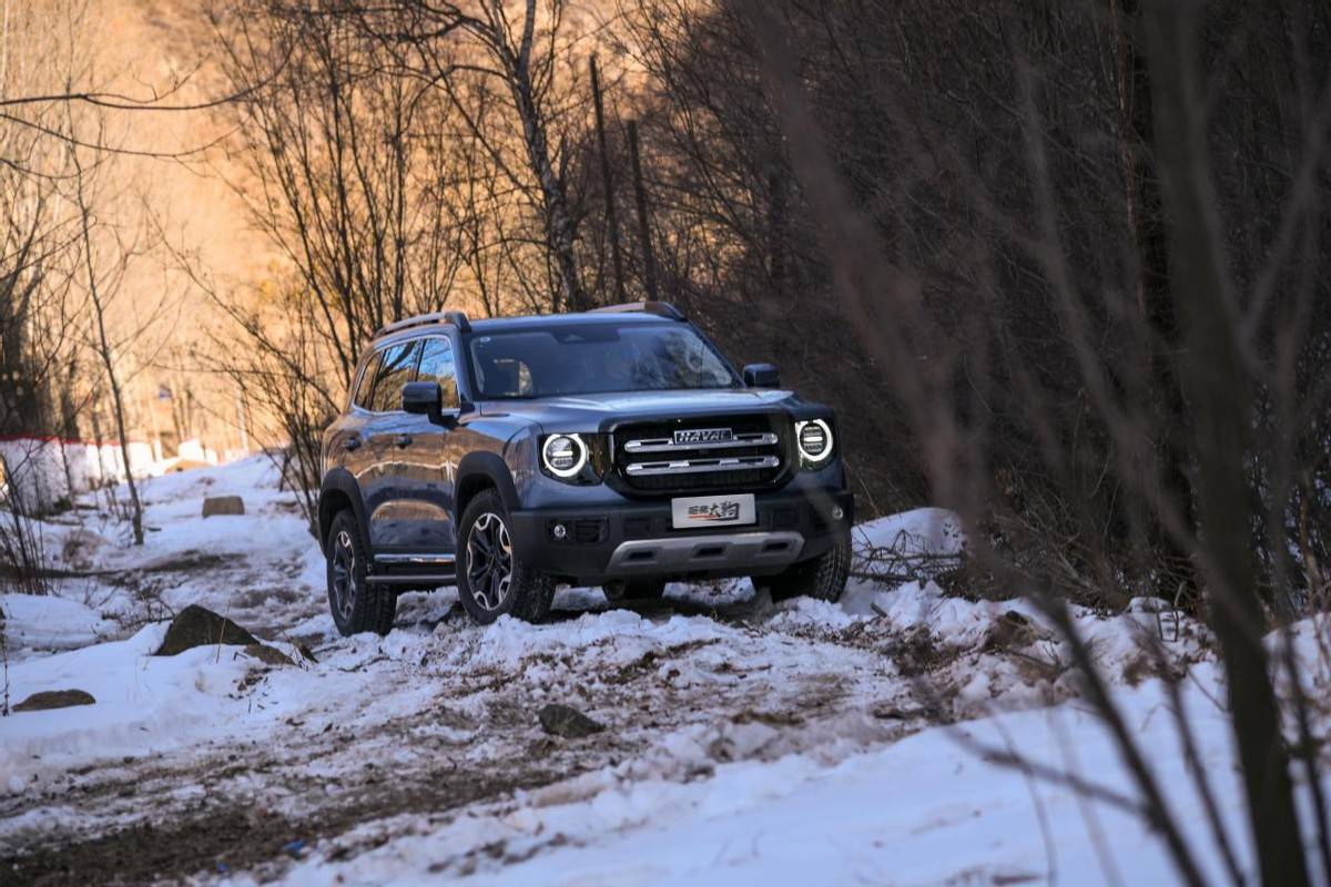 元旦假期出行之滑雪哈弗大狗助力冬季狂欢时刻