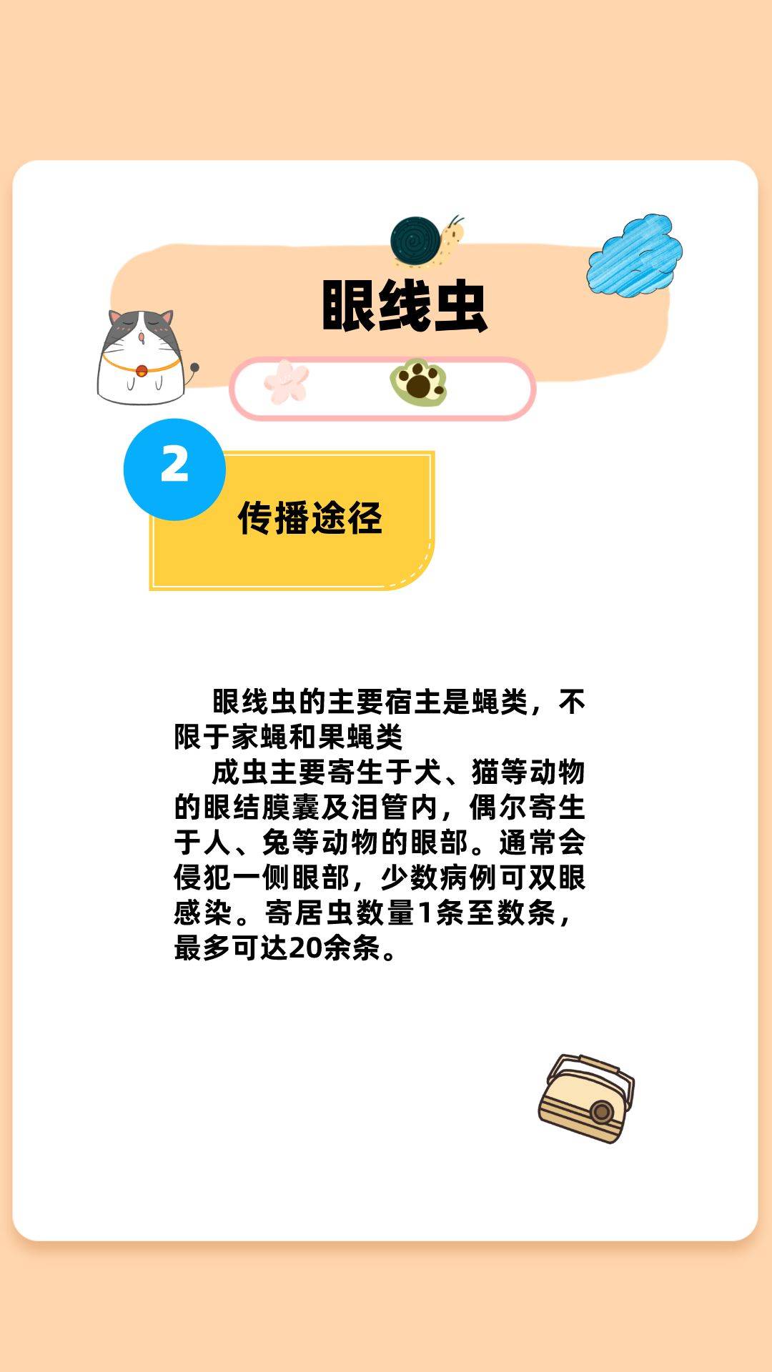 什么是眼线虫它是如何传染给小奶狗的