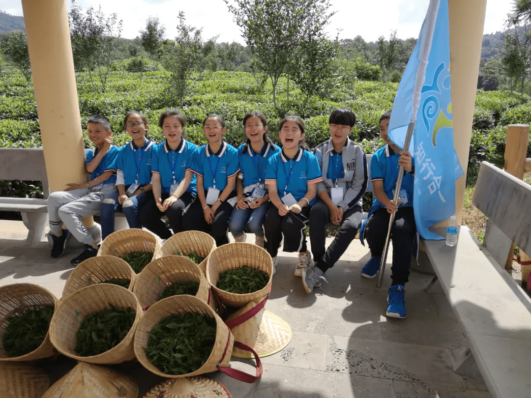 景区|【国家AAA级景区】腾冲清河茶文化景区