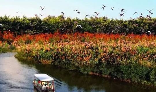 广东十大最美湿地公园，号称“世界级的观鸟天堂”，简直美炸了！