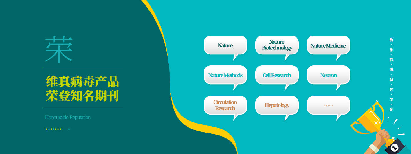 恶性肿瘤|【shRNA慢病毒文章分享】Bioactive Materials ‖湖南大学胡小晓团队揭示核…