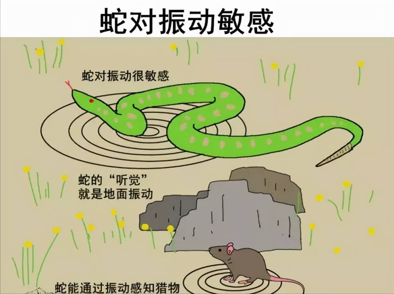 649faddb3ee644f1842ec89815739cf8.jpeg