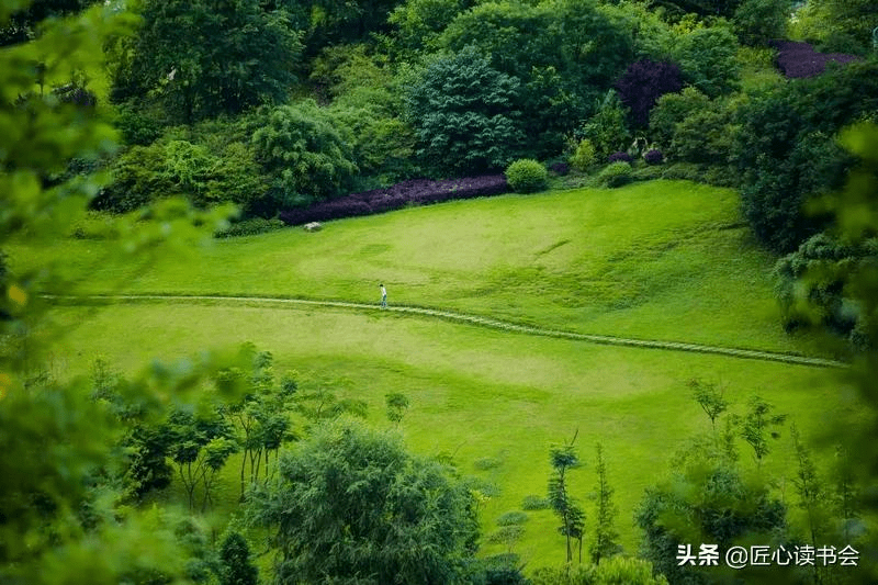 圖丨黃桷樹公園視頻丨銀鼎山公園,時長01:02是新時代企業容易做生意的