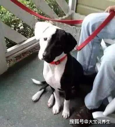 手机|搞笑GIF:他口中的老女人就是我,那个娇小可人的是他的小情人