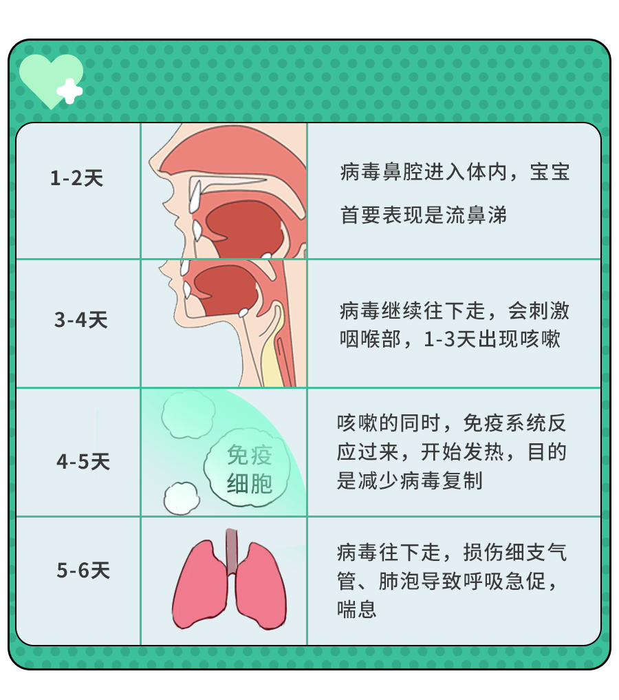 ae5dac1982e44a099d12336cf7cd84b4.png