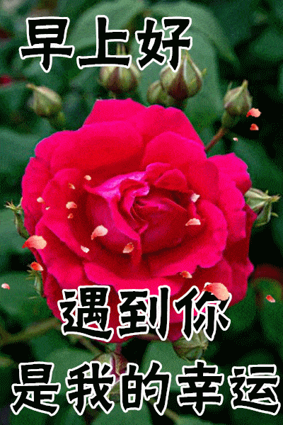 b9ec7cedf0d24ee2a978fee8ebee8c49.gif