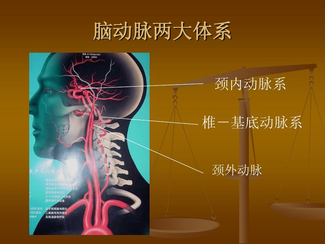 值得注意的是,臨床上因為異物堵塞椎基底動脈的概率較低,大部分患者