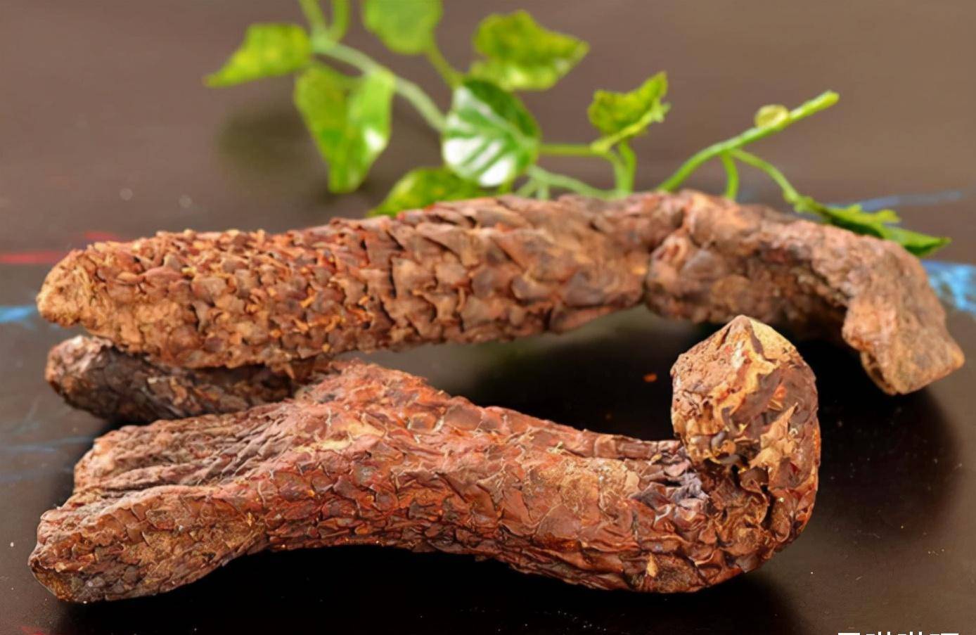 真正的阿魏图片功效(中药阿魏的作用与功效魏) - 医药经