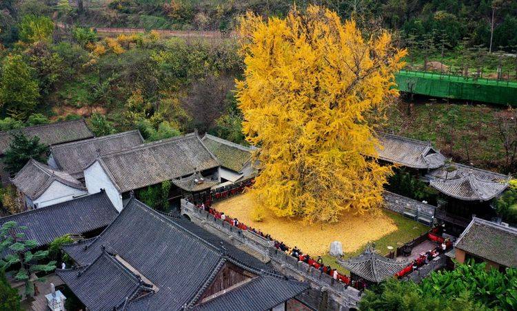 西安有一景区走红，是终南山千年古刹之一，距市区只有30公里