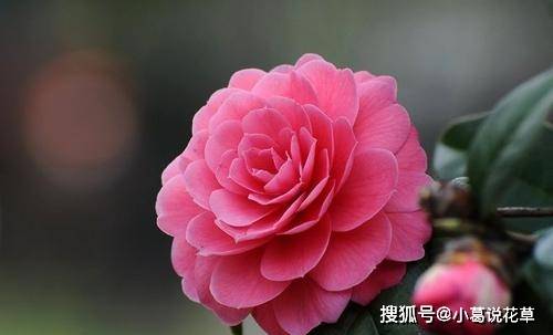 6b971087f91f43438a2e9a61220f6cce.jpeg