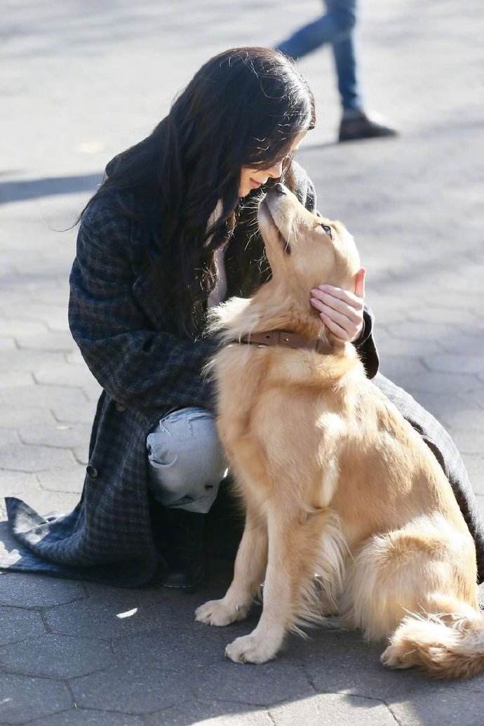 我爱的人名花有主 爱我的人惨不忍睹 不是在放荡中变坏 就是在沉默中变态 爱情 感情 那雁