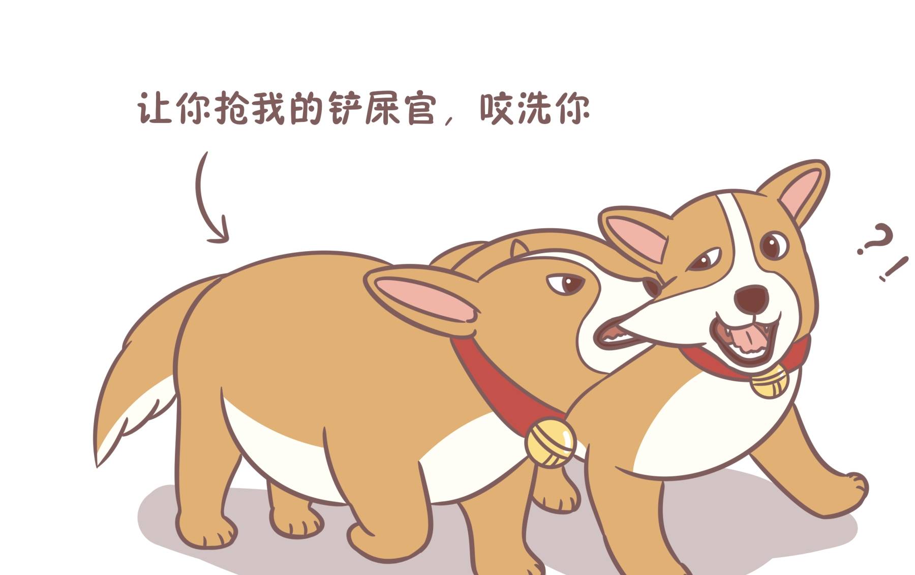 时间铲屎官不努力，俩狗常打架！养狗的你该找找自己的问题了