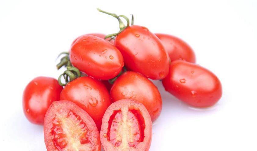 一点红的危害 514d530d5c9b4d329ad708c56aad3f96.jpeg