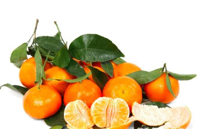 哪些食物属于酸性食物和水果 c72d0a545974430c805ff94254941f1a.jpeg