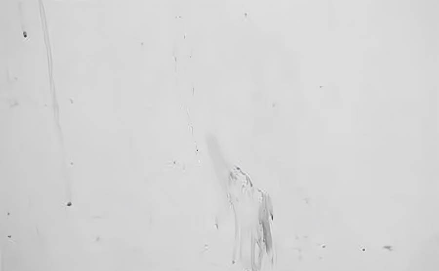 49d3790f2ddb40dd99ef370eb4101300.jpeg