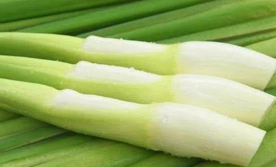 笋是碳水还是膳食纤维 63f55f2efc9e48379b11ca62d189f7b4.jpeg