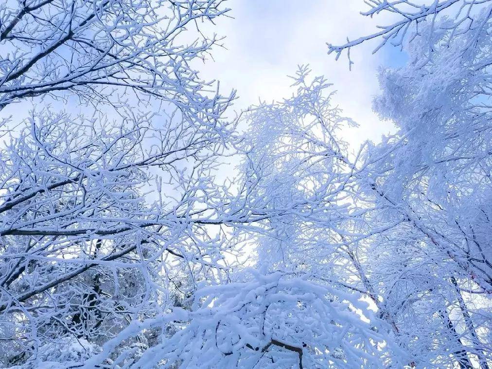 “云游嵩县”！【雪景篇】他朝若是同淋雪，此生也算共白头