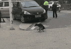 白大褂|“不就是吃个早餐嘛，大哥眼都直了！”得亏是自己来的，哈哈哈哈～