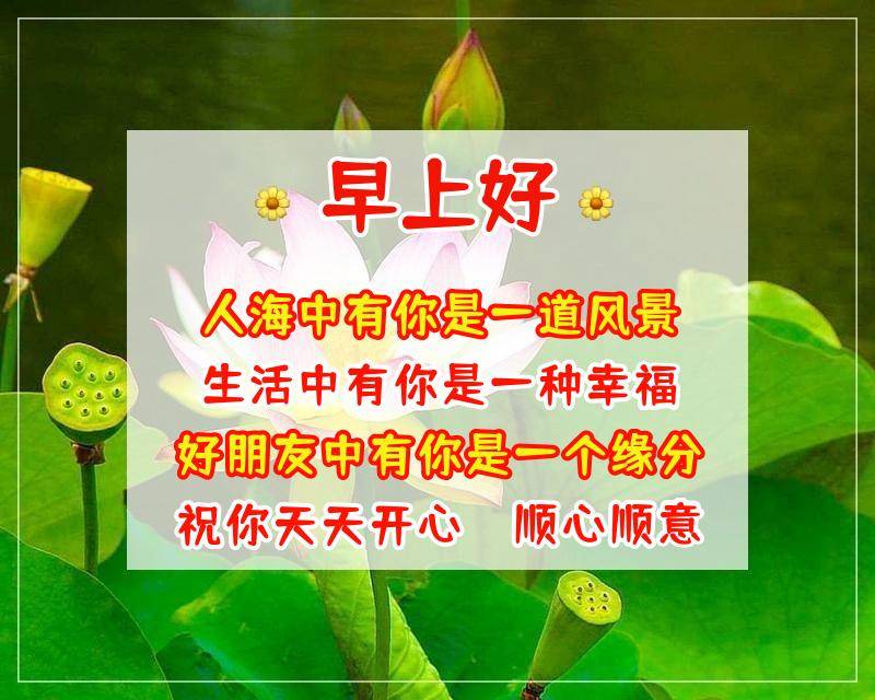 不管问候迟晚,彼此开心相伴;不管时间多忙, 美好祝福依然, 真诚的祝福