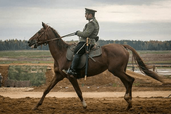 原创军队进行现代化改革之后原来的战马都去了哪是否还有用处呢