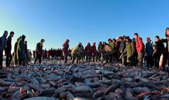 他们是“最后的渔猎部落”，查干湖冬捕开始，一条鱼竟能卖300万