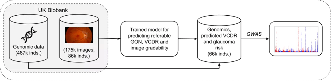 Jeff Dean长文展望：2021年之后，机器学习领域的五大潜力趋势