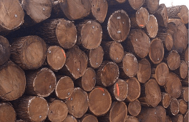 caf39aade2ca4f97b621bc1850808cbb.png