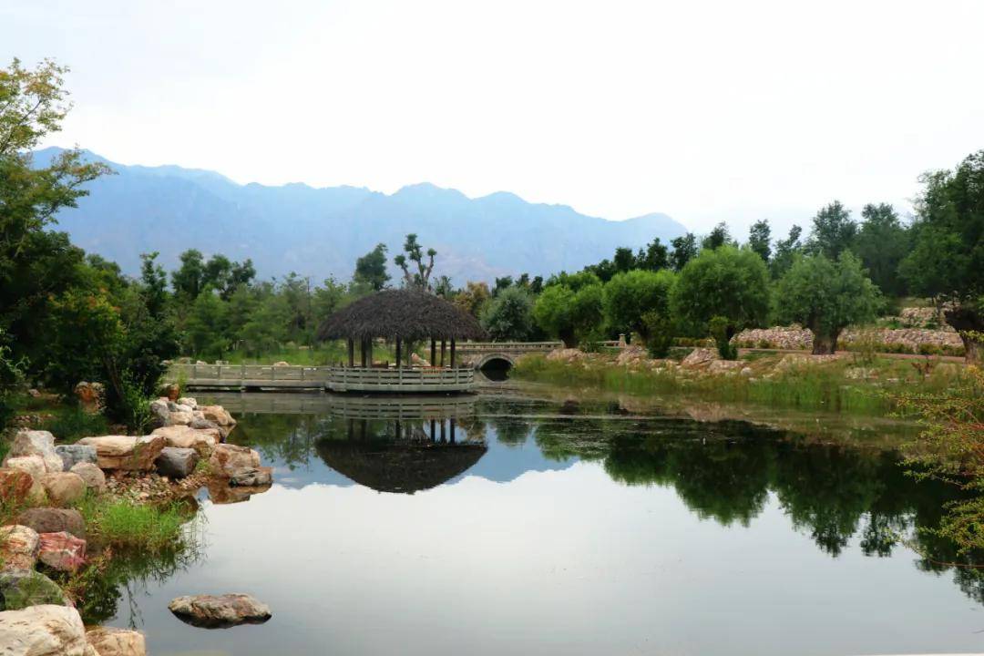 文化|贺兰山东麓旅游度假区 | 畅游贺兰山之A级景区