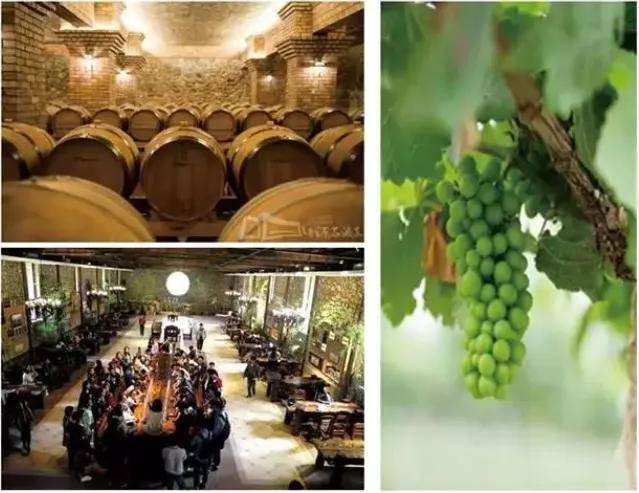 文化|贺兰山东麓旅游度假区 | 畅游贺兰山之A级景区