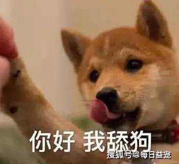 cbf47392b0744d1f8c763be9c70f0186.jpeg