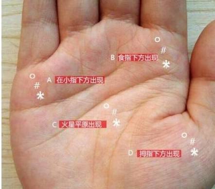 dd77d9d33fea43ec856e9cc2901ea557.jpeg
