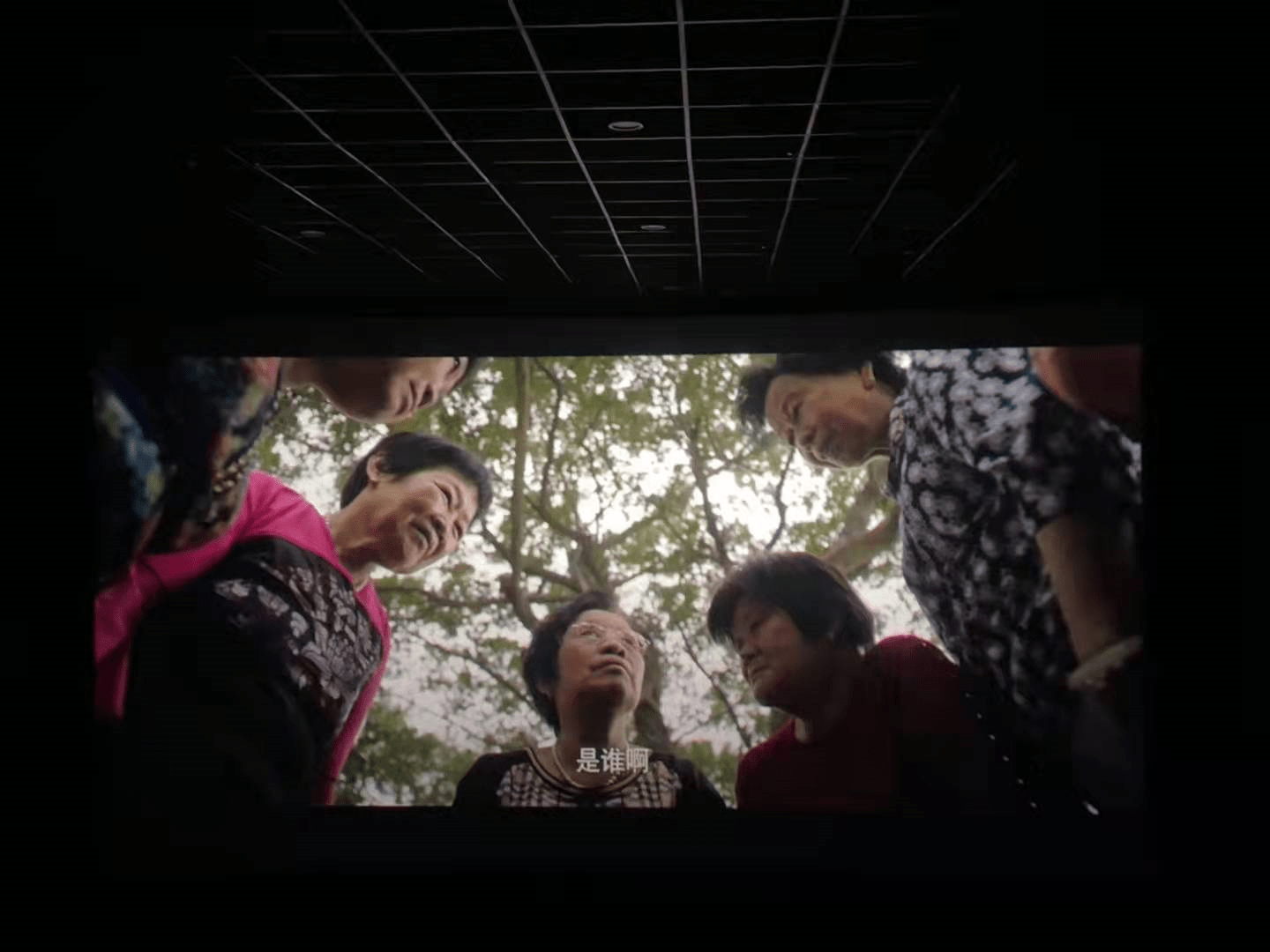 都逃不过她法眼,像极了每个村村口那群老大妈,镇上的八卦无所不知!